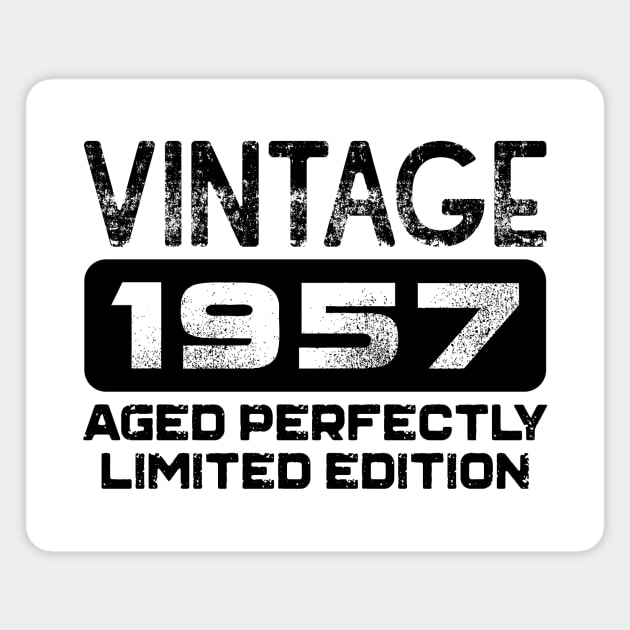 Birthday Gift Vintage 1957 Aged Perfectly Magnet by colorsplash